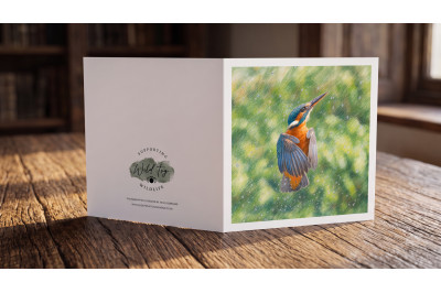 Kingfisher Rising Greeting Card